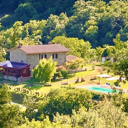Вилла Agriturismo Vista Sole Mercatale  Экстерьер фото