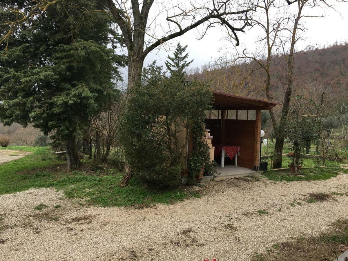 Вилла Agriturismo Vista Sole Mercatale  Экстерьер фото
